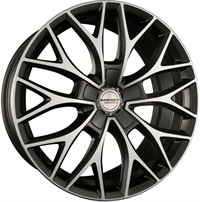 DY DARK GREY POL MATT 