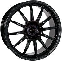 TEAM DYN PRO RACE 12 GB 