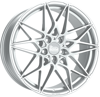 B2N SILVER PAINTED