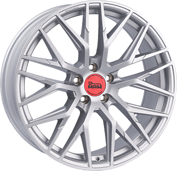 RS4 MATT SILVER PAINTED