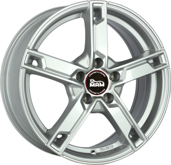 W4 SILVER PAINTED