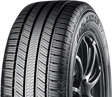 /productpictures_huge/en_YOG058.png